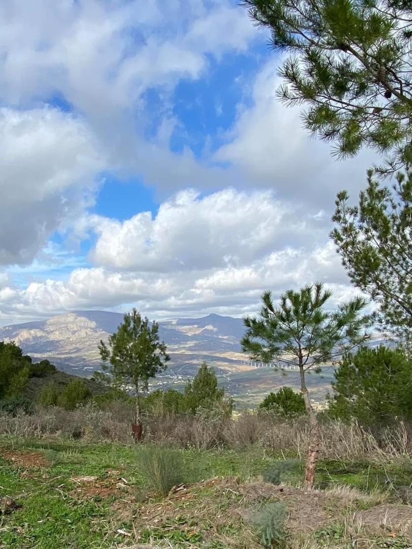 مبيت وإفطار ألورا Casa Del Sueno المظهر الخارجي الصورة