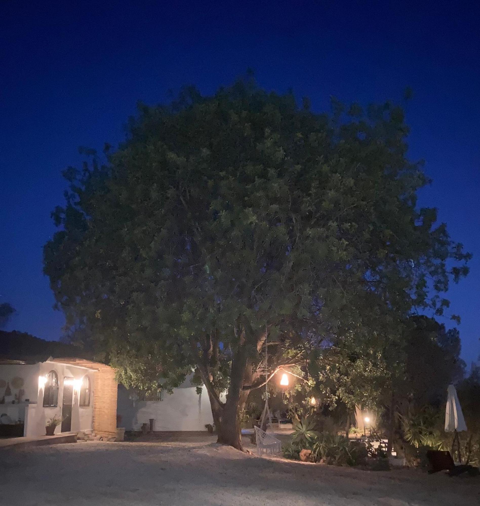 مبيت وإفطار ألورا Casa Del Sueno المظهر الخارجي الصورة