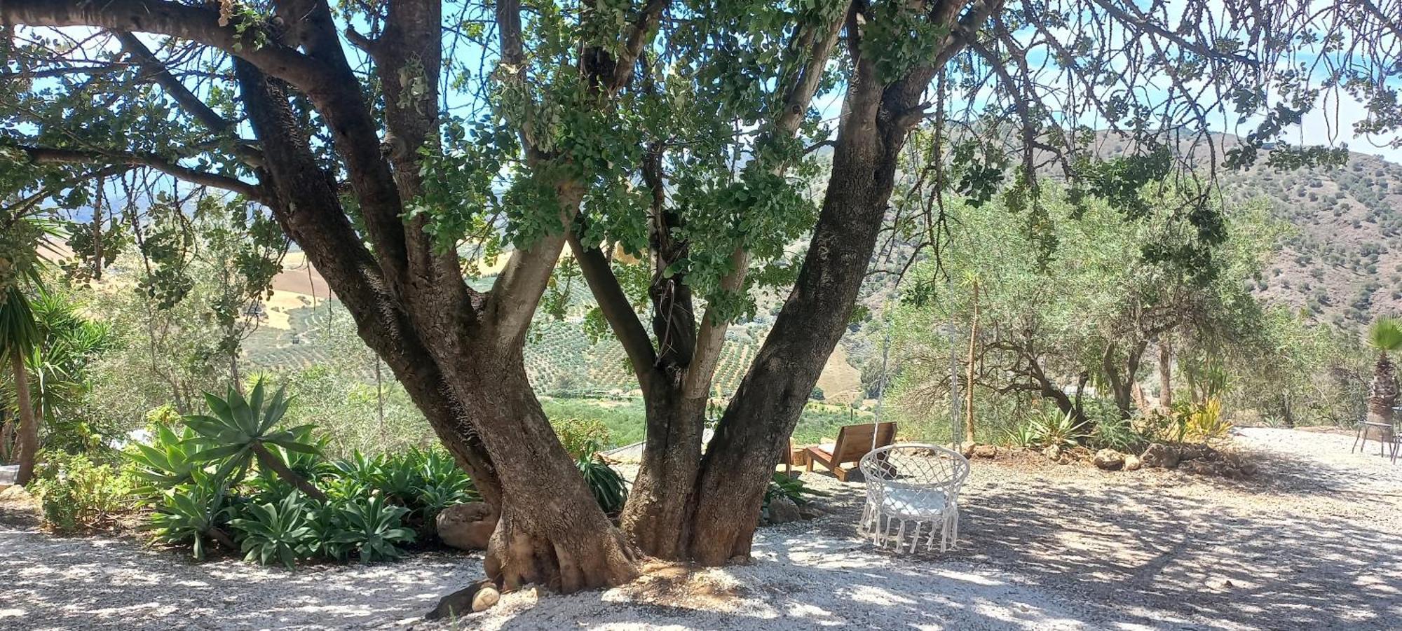 مبيت وإفطار ألورا Casa Del Sueno المظهر الخارجي الصورة